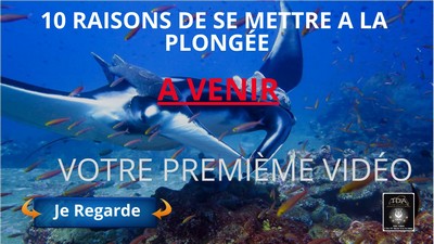 10 raisons de se mettre a la plongée